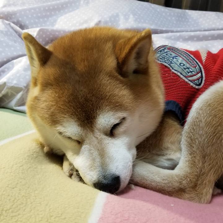 Ed838830 030f 485e b332 ec283bf52a51 1583499585667