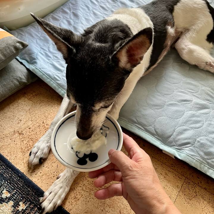 Ed839c4a 33d6 4108 ac0d 889558c79069 1658701214949