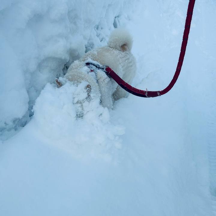 Ed83e8af 9300 48bd a385 0100a41f189d 1708643267950