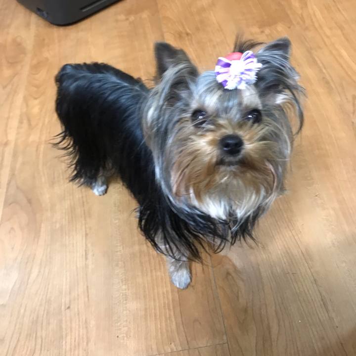 Ed8417af 7b1a 4d92 bf15 61ffc821aac0 1644926963709