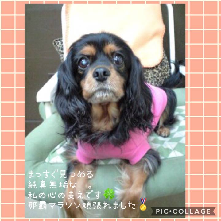 Ed843057 4cfb 495f 87e4 fc32c20a7573 1543984094858