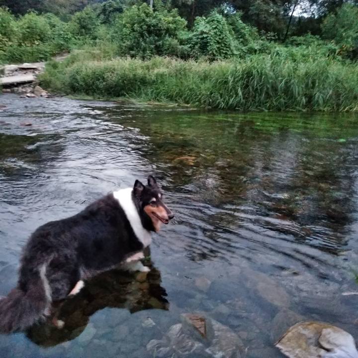 Ed8454b4 28ad 405f bc4b a8a17c9f5498 1567428941506