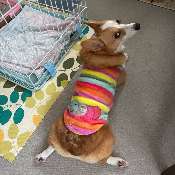 Ed847815 499e 4442 8611 30556a4a0876 1765408685960