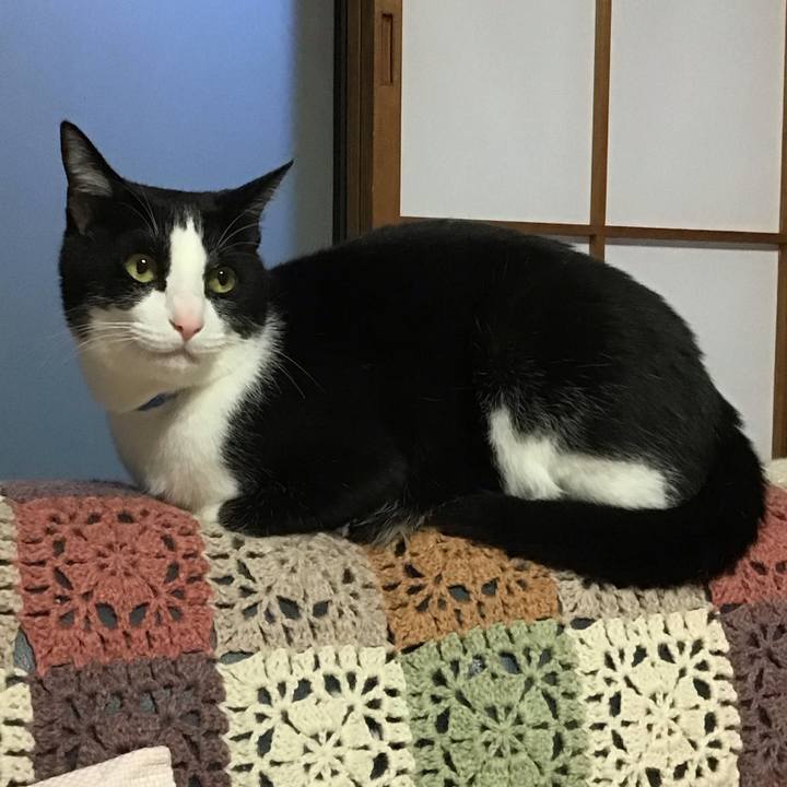 Ed84978e dd34 4e61 8293 6d399f480c6a 1712395600920