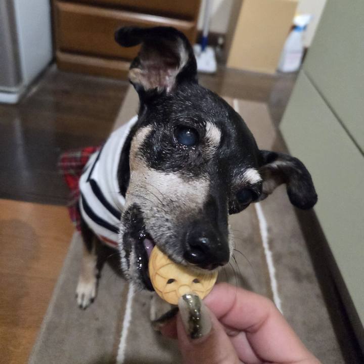 Ed84d0d4 bccf 499d 84ae 4cd9dd987386 1757014782690