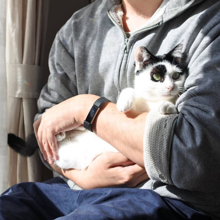 Ed84fffc 30fe 4b4a b3b4 93aae49bafb2 1516950317716