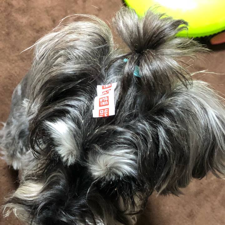 Ed850ba8 67c7 49c2 80b2 446c245dcf8e 1524404680760