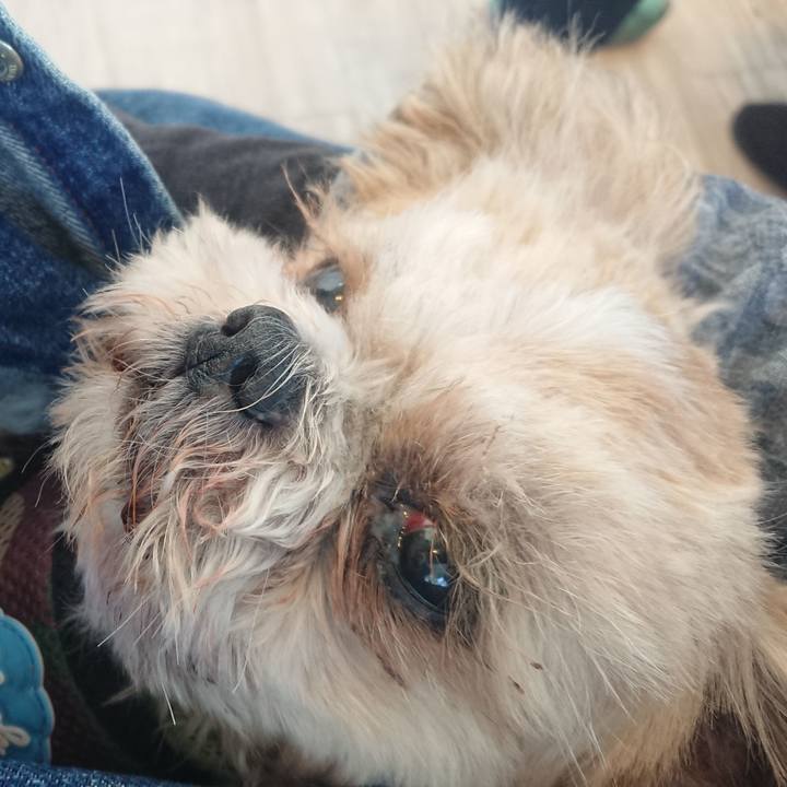 Ed853a4a fa2a 4690 921c f171a0e102af 1541401303099