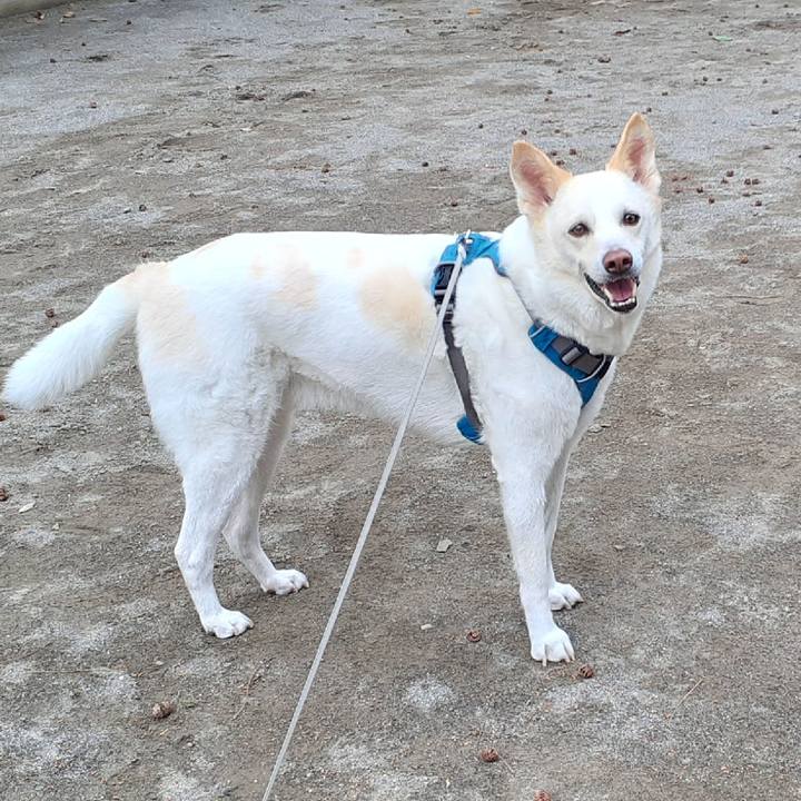 Ed8548fc d2b5 4e31 a422 03823641a6a0 1647821755396