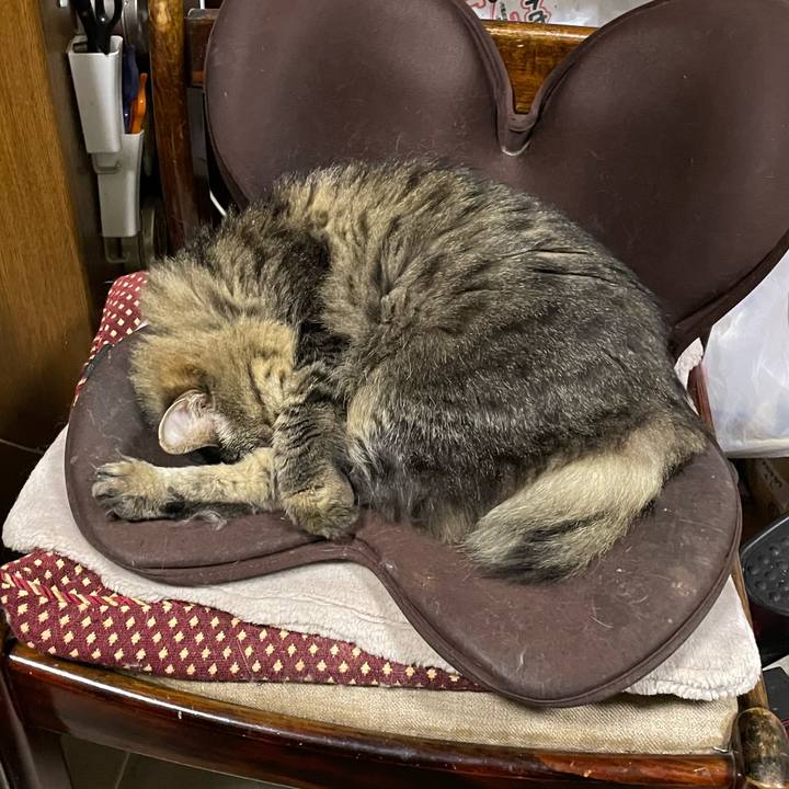 Ed857a03 f3a5 4587 8023 2ca1d52097e4 1766225892520