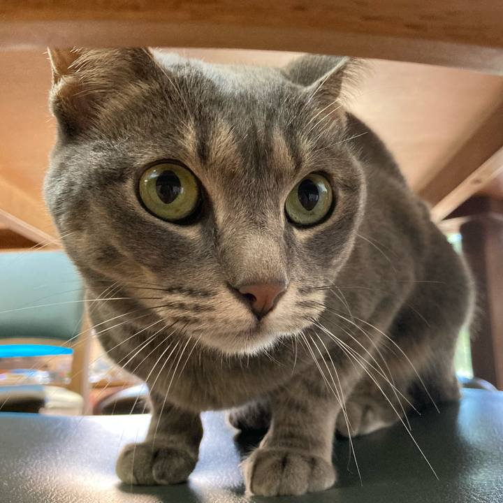 Ed85c161 1454 40aa 8272 c7d3529dcf5d 1604103842629