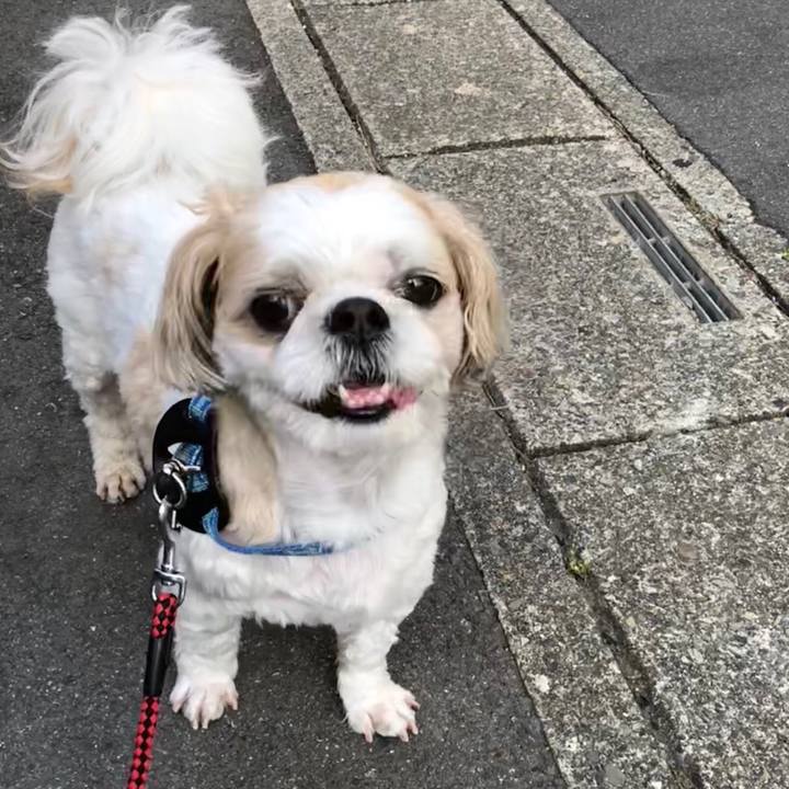 Ed8613b8 da64 44b1 9c4e 518403b415af 1528149019986