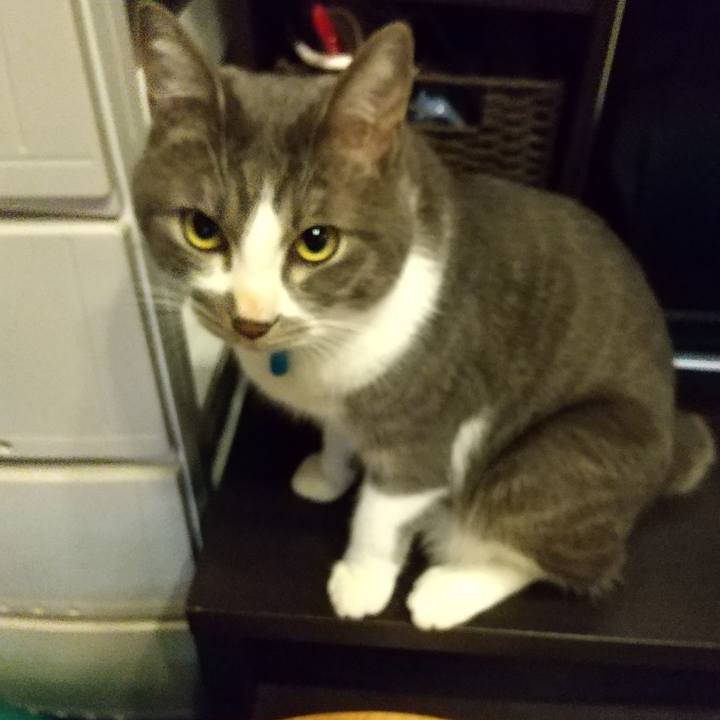 Ed861a1d bb76 4b21 933f 7162abdb6d74 1605476827220