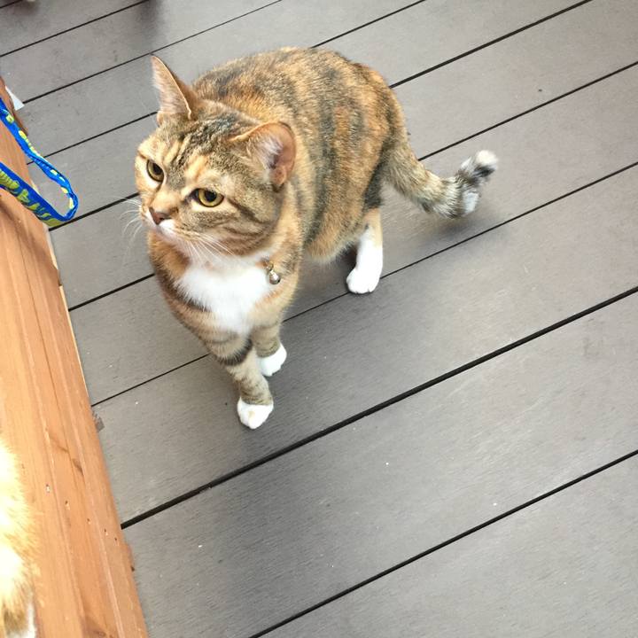 Ed86211b 6966 45de a186 95d2a0c94a08 1554540290914