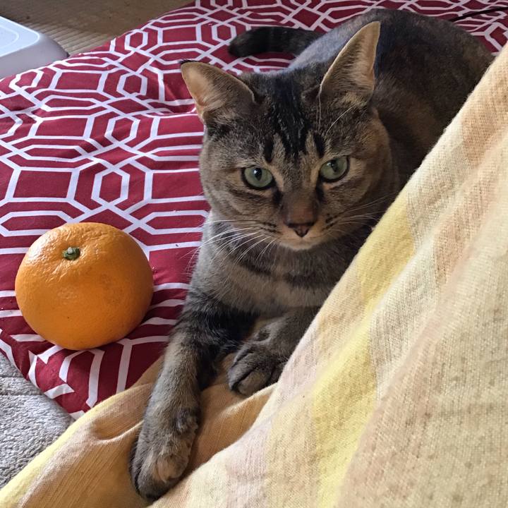 Ed864901 138d 4bf2 b846 e09758ab0241 1614990219183