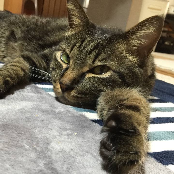 Ed866100 54dc 4541 907d 714141ade39d 1531136713756