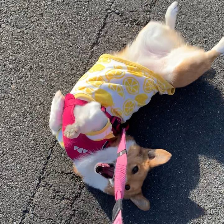 Ed869c08 5603 420a be27 32185994303f 1643875808790