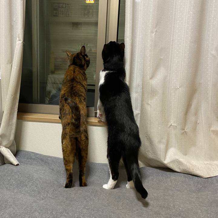 Ed86c5dc 0cd3 4fe3 a78c d3f571c9d795 1649136502479