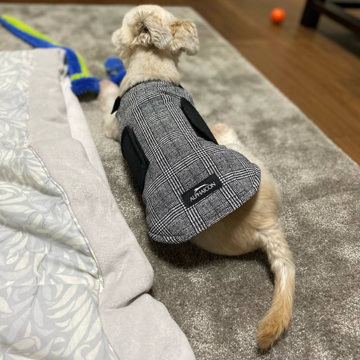 Ed86d764 4706 4042 991a f90ef814f20e 1603883914371