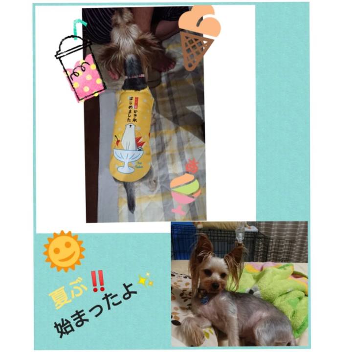 Ed8701df 688c 4061 8372 2e47dcab8651 1533084927879