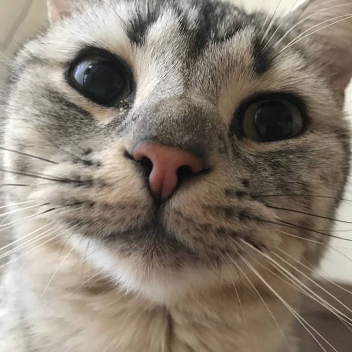 Ed870a13 a2ec 4848 b1a0 de1fec31a07b 1514591910594