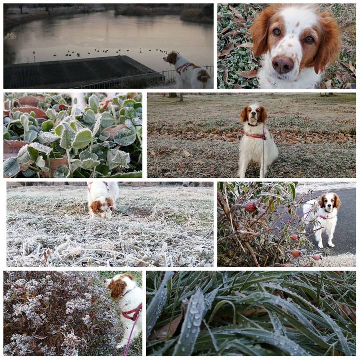 Ed87177e 6269 401c 85c9 3672903bfe58 1610513167237