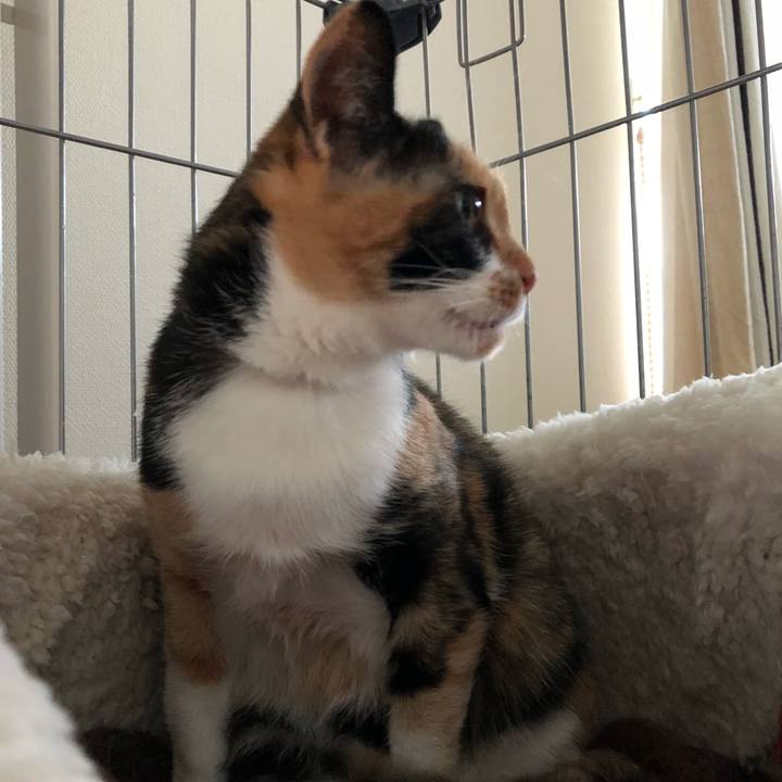 Ed8717fd d4a2 4644 9e80 2af71eb41d25 1524229974048