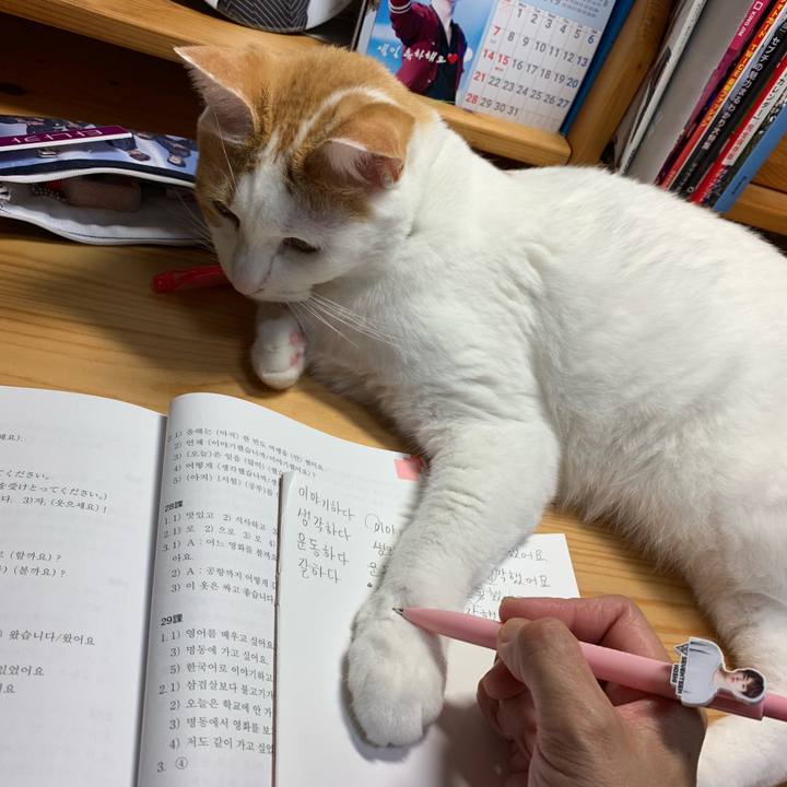 Ed879b1e 59b6 484b ab94 3a58d64b6227 1564666397329