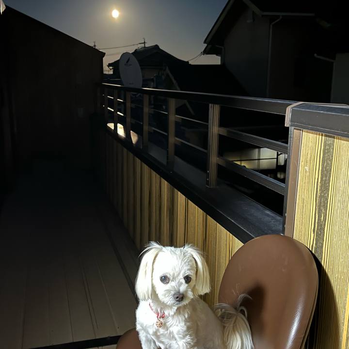 Ed87aff9 2929 4e77 a24d 53a23ab2b1d6 1695979927580