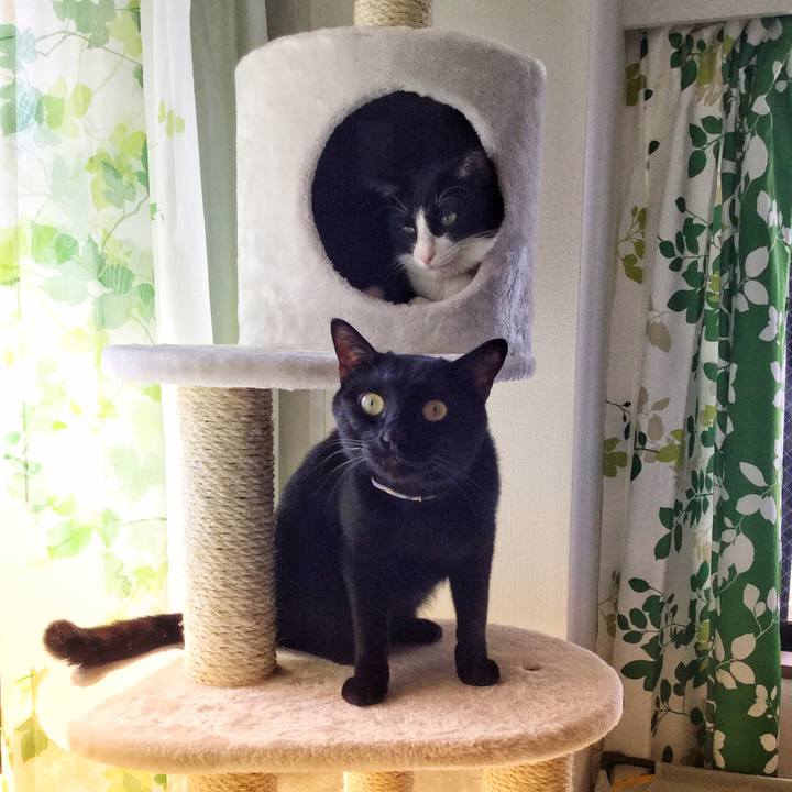 Ed87da29 8447 4f33 b863 aa2c55ac27c6 1514439487086