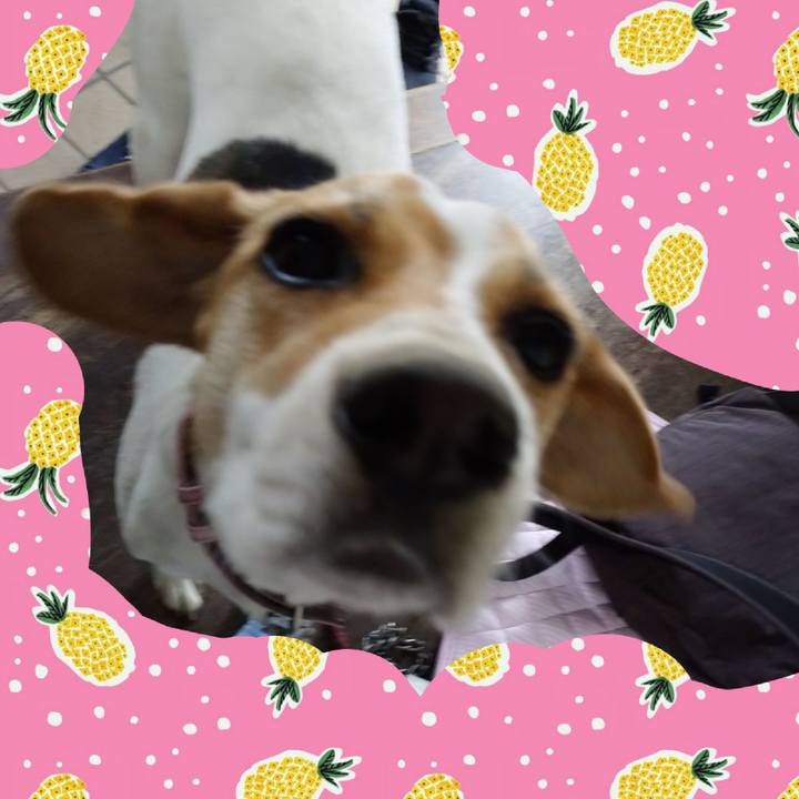 Ed87ebef 78d2 4707 9145 b4fd6f48f96b 1592542225027