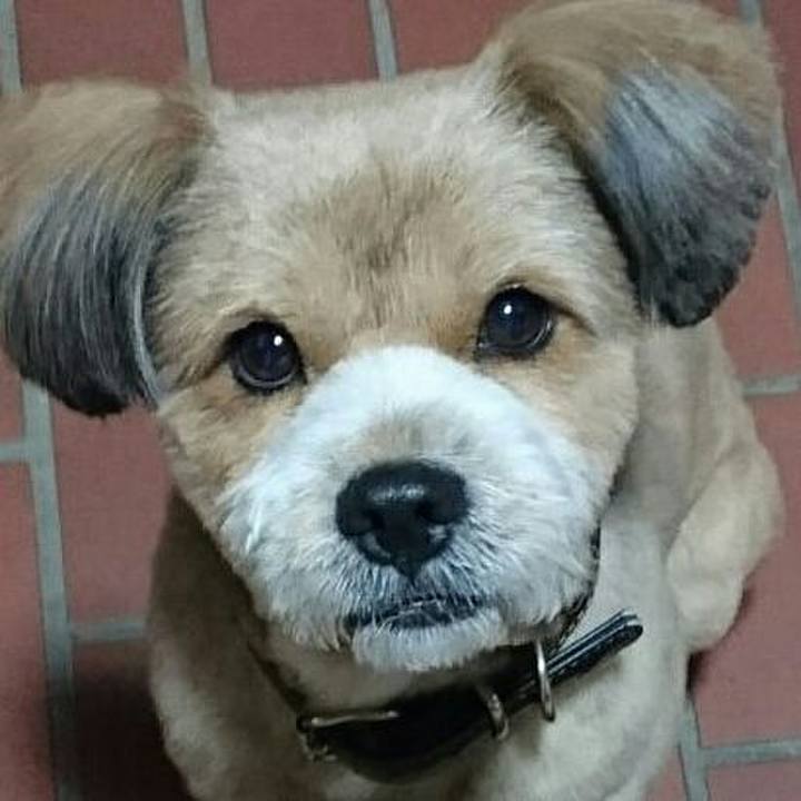 Ed87fa28 c1b7 4116 8931 949097d668b5 1543233253133