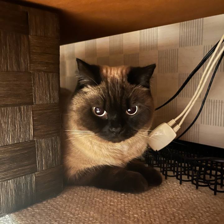 Ed880bf3 9a15 4bd2 a04f 7a06e6cfc946 1647256194763