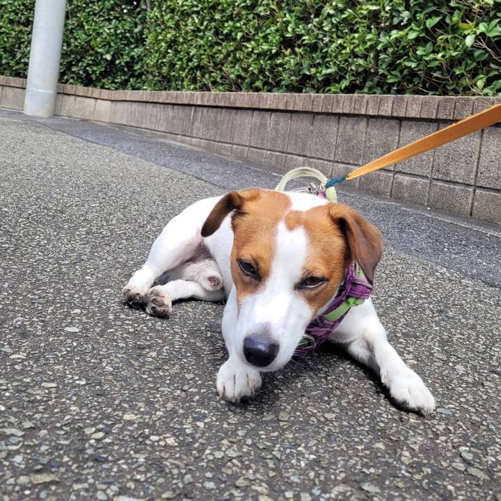 Ed8822f3 68a3 4835 be72 e70a117104a2 1663819315356