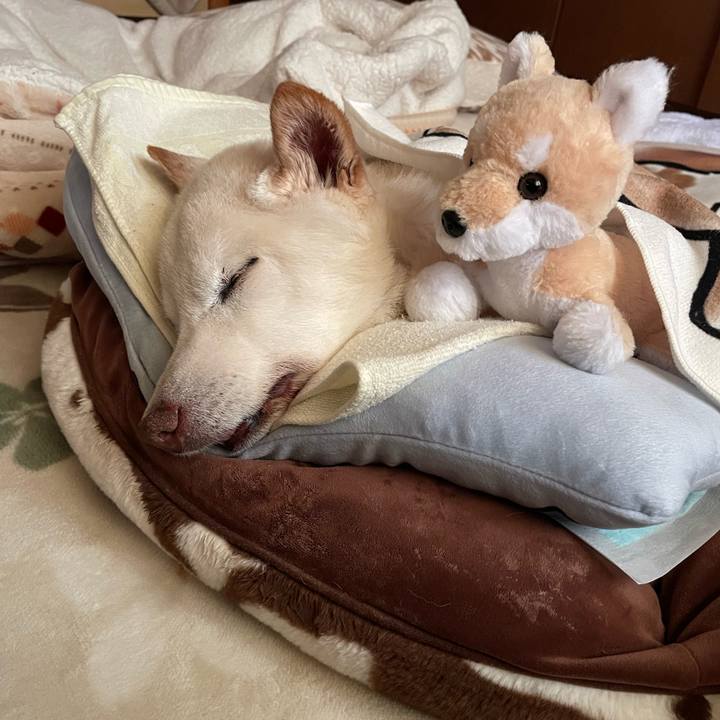 Ed883f22 f5ea 483a 808f 8a04a096824d 1682544546742