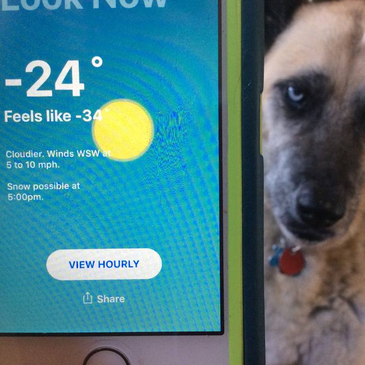 Ed8850f0 2d3e 41a7 b3e6 b3330a3fc062 1548951280977