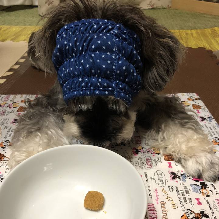 Ed885141 550f 4276 8cfd 3f5c724b14da 1536145413345