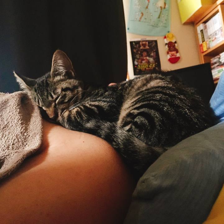 Ed88542a 8e8e 4e8d 9157 2a2530f2e0b1 1541990680236