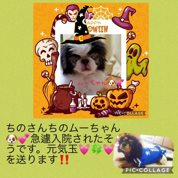 Ed8857d9 c73d 44bb 987c b0ec9d9d0bdd 1572002275585