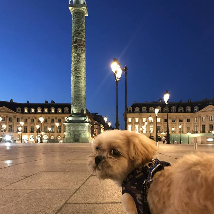 Ed887474 159f 4efc 852a c9a14ec6f138 1758957754593