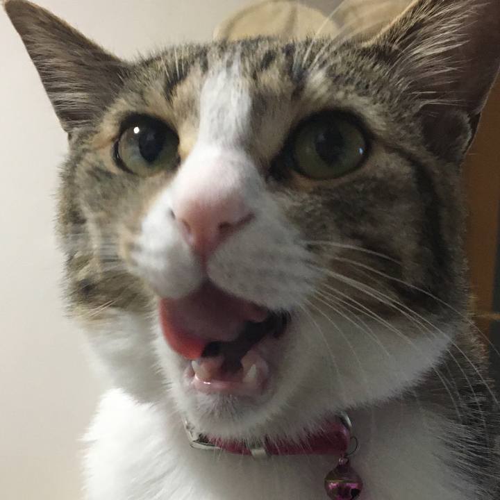 Ed891acf 892b 4f0f 8283 edd1f9297955 1673708826837