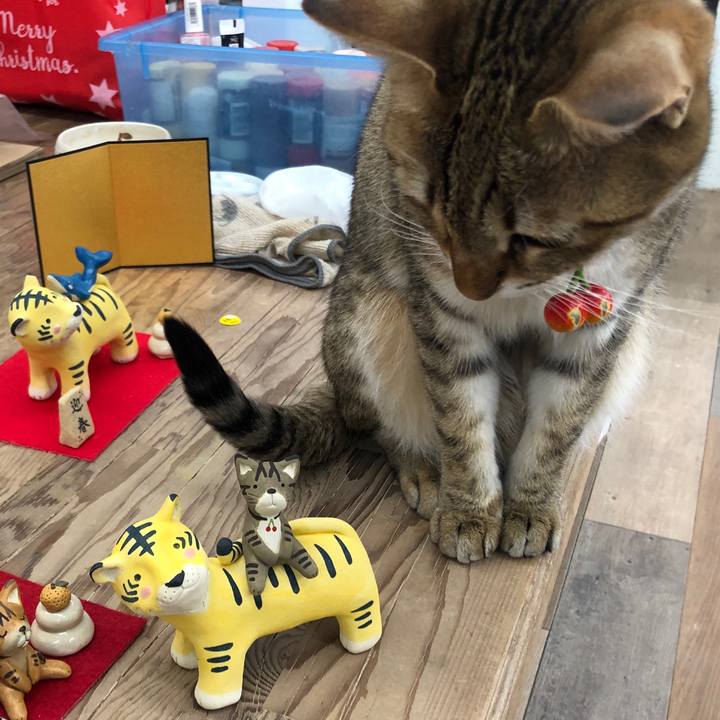 Ed893620 d5b9 41d5 9fbe ffd3c8e757df 1640511164704