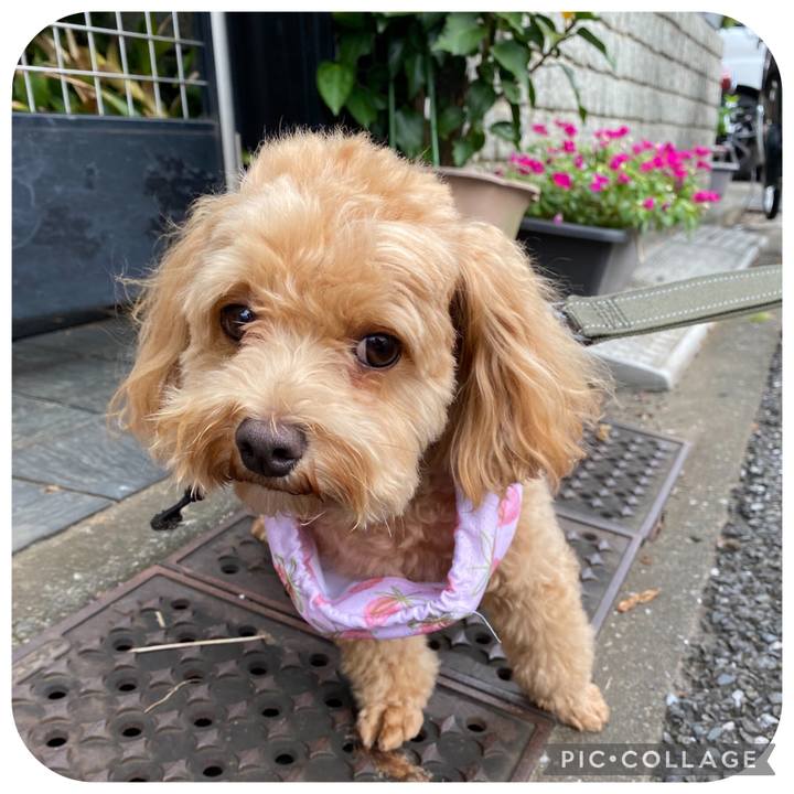 Ed893c3d f556 4316 aae0 564ea417d4c3 1629592795123