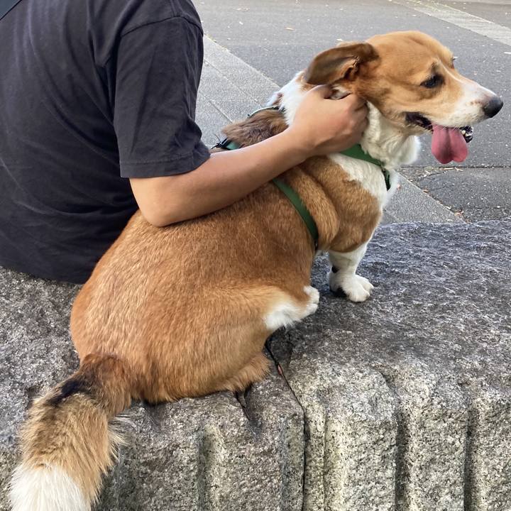 Ed89533b ad32 4b5b af65 4de0bad14a87 1760056288514