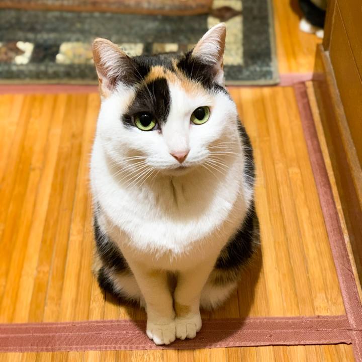 Ed896591 1193 4e3e 8c4d cd21411248ee 1580002526350