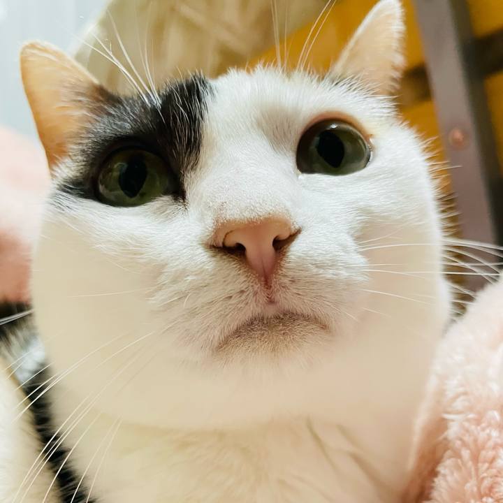 Ed8999c4 7fba 4248 ba64 c678bc2677b5 1644288938681