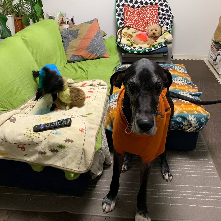 Ed89a33b 24cb 494c b11b 842641c4ef88 1574895538758