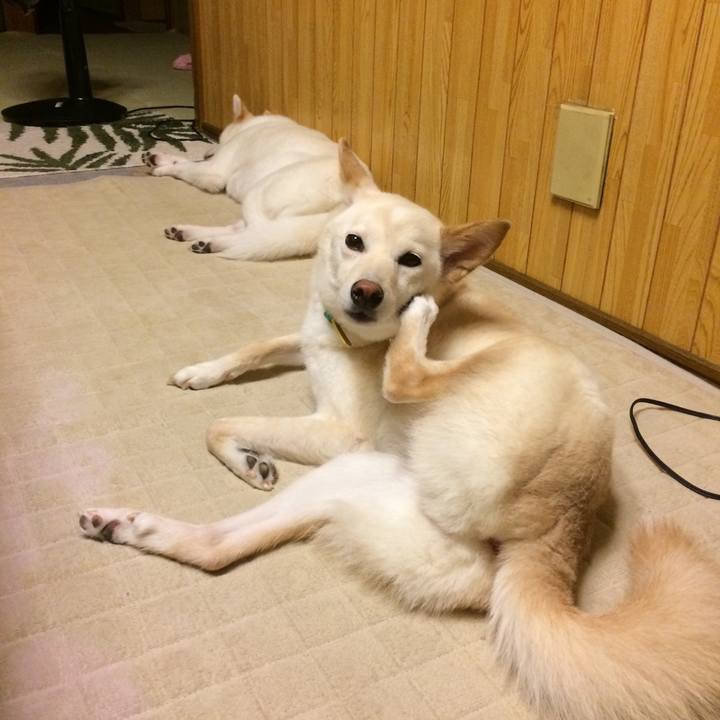 Ed89b91b d5dc 4e49 b858 6a0fb38b42d2 1533478337848