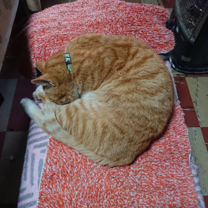 Ed89c42e 0271 4d37 96ad 5556bacee2e9 1584857593895