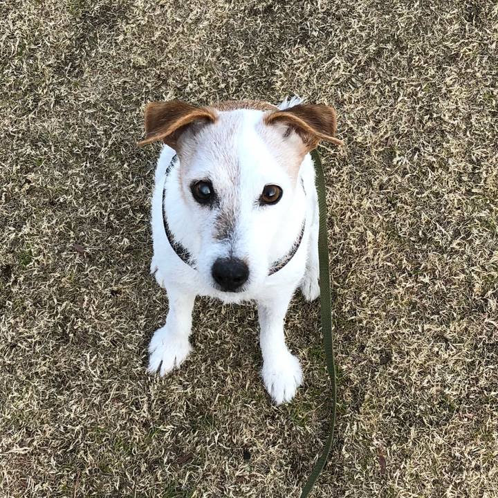 Ed89dc2f 519b 4040 ab5c 6e710371ebf3 1515758047534